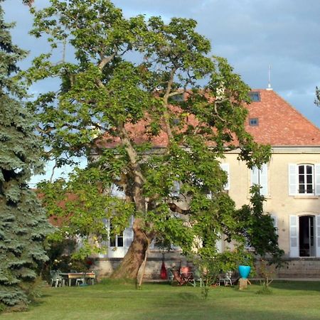 Le Clos Des Roseaux Chorey-les-Beaune Экстерьер фото